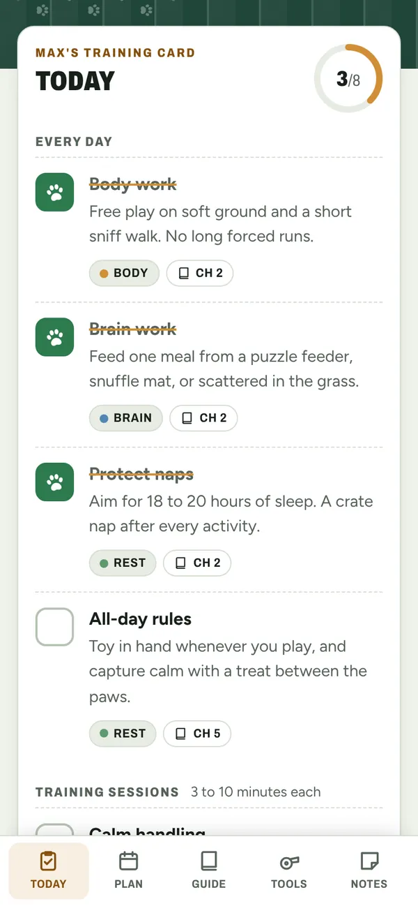 Max's training card for today, with three of eight tasks checked off